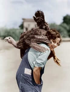 turkey over woman's shoulder